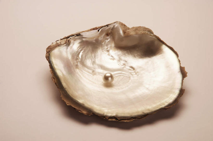 无人,横图,俯视,室内,特写,白天,幸福,纯洁,桌面,桌子,静物,贝壳,阴影,反射,木制,影子,珍珠,一个,木制品,健康,摄影,影棚,单个,贵重,珍贵,富有,宝贵,有机宝石,贝类外壳,海螺壳,软体动物外壳,彩图,高角度拍摄,影棚拍摄,拍摄