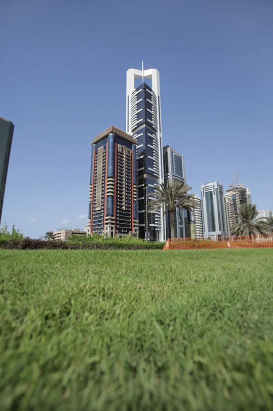 无人,高楼大厦,竖图,室外,白天,仰视,度假,草地,草坪,美景,植物,城市风光,标志建筑,城市,大厦,地标,建筑,摩天大楼,阿联酋,亚洲,景观,建筑群,娱乐,建设,草,树,树木,蓝色,绿色,蓝天,天空,自然,天,享受,休闲,景色,放松,生长,晴朗,成长,西亚,阿拉伯联合酋长国,迪拜,谢赫扎耶德路,万里无云,杜拜,晴空,晴空万里,彩图,低角度拍摄,大楼,高层建筑,高楼,摩天楼