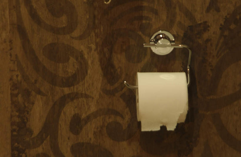 无人,横图,室内,特写,白天,正面,壁纸,卫生间,洗手间,静物,墙,架子,墙壁,墙面,纸巾,厕所,墙纸,彩图