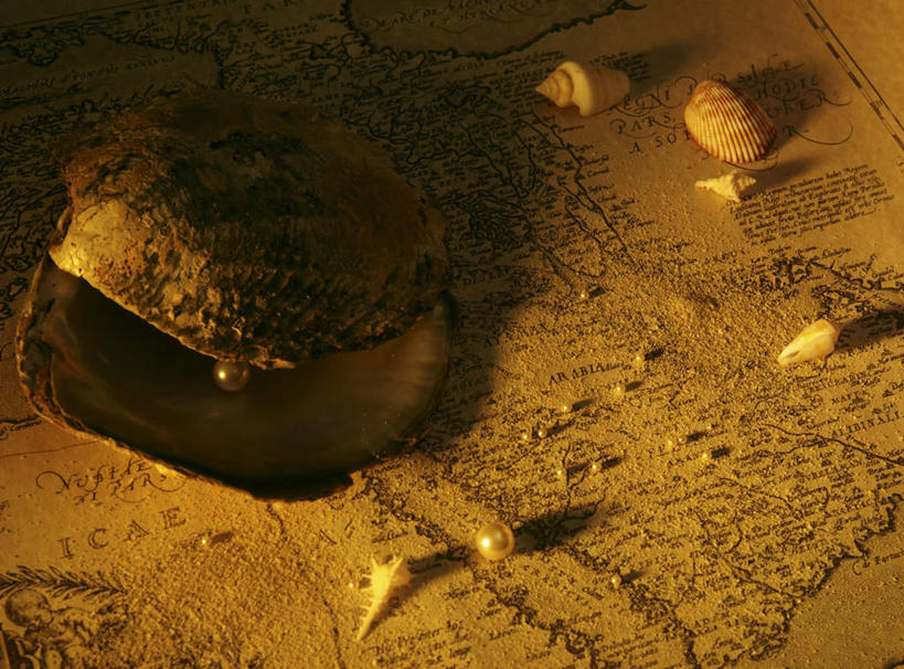 无人,横图,俯视,室内,特写,白天,幸福,纯洁,道路,静物,贝壳,地图,阴影,朦胧,模糊,反射,信息,沙子,影子,珍珠,交通,方向,健康,引导,指引,贵重,珍贵,富有,宝贵,有机宝石,贝类外壳,海螺壳,软体动物外壳,彩图,高角度拍摄,导航