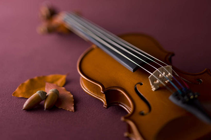 无人,横图,俯视,室内,特写,白天,静物,阴影,红色背景,朦胧,模糊,影子,坚果,枫叶,乐器,弦乐器,小提琴,干果,摄影,影棚,弓拉弦乐器,弓拉弦鸣乐器,橡果,橡树果,橡栗,橡实,橡树子,橡子,彩图,高角度拍摄,影棚拍摄,拍摄