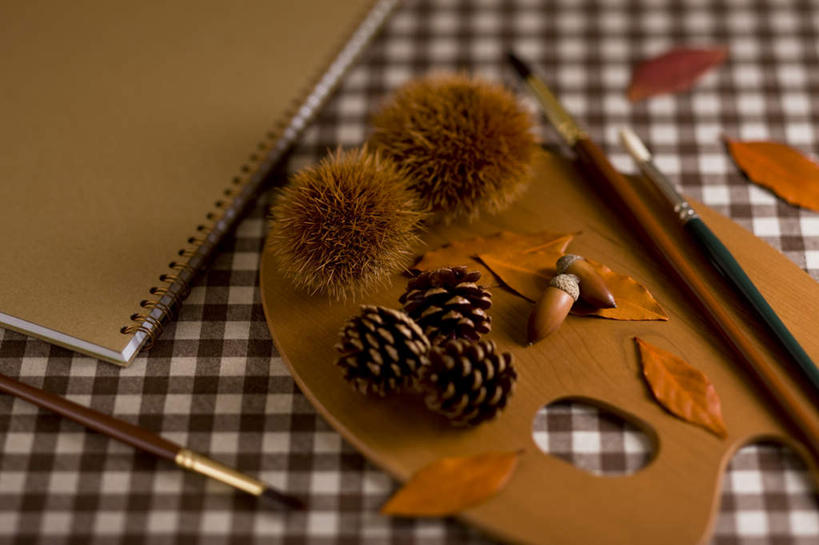 无人,横图,俯视,室内,特写,白天,书籍,叶子,油画,三只,笔,坚果,果实,枯叶,松果,办公用品,画,文具,两个,画笔,学习用品,干果,摄影,影棚,文具用品,调色板,松塔,叶,叶片,书,图书,彩图,高角度拍摄,影棚拍摄,拍摄