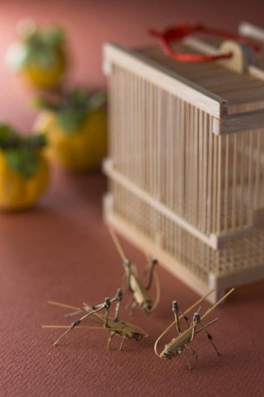 无人,竖图,室内,特写,白天,正面,秋季,柿子,水果,叶子,阴影,朦胧,模糊,新鲜,艺术,昆虫,玩偶,影子,竹笼,手工艺品,生食,食品,果实,绿叶,笼子,鸟笼,艺术品,食物,工艺品,嫩叶,藤编,有机食品,绿色食品,叶,叶片,秋,秋天,彩图,全身