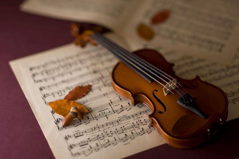 无人,横图,俯视,室内,特写,白天,秋季,桌子,书籍,叶子,一把,许多,朦胧,模糊,散落,果子,枯叶,落叶,乐谱,乐器,五线谱,弦乐器,小提琴,音乐,书桌,一个,课桌,单个,节拍,弓拉弦乐器,弓拉弦鸣乐器,音符,橡果,符头,符干,符尾,乐章,叶,叶片,秋,秋天,彩图,高角度拍摄