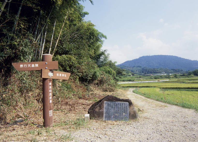 无人,农田,横图,室外,白天,正面,旅游,度假,庄稼,美景,山,树林,植物,道路,路,指示牌,奈良县,日本,亚洲,阴影,光线,日文,标志,路标,文字,影子,景观,山峰,云,云朵,小路,交通,山峦,云彩,娱乐,标识,树,树木,蓝色,绿色,白云,蓝天,天空,阳光,自然,天,享受,休闲,景色,放松,生长,成长,自然风光,东亚,本州,本州岛,日本国,近畿地方,奈良,近畿,日语,彩图,耕地,庄稼田