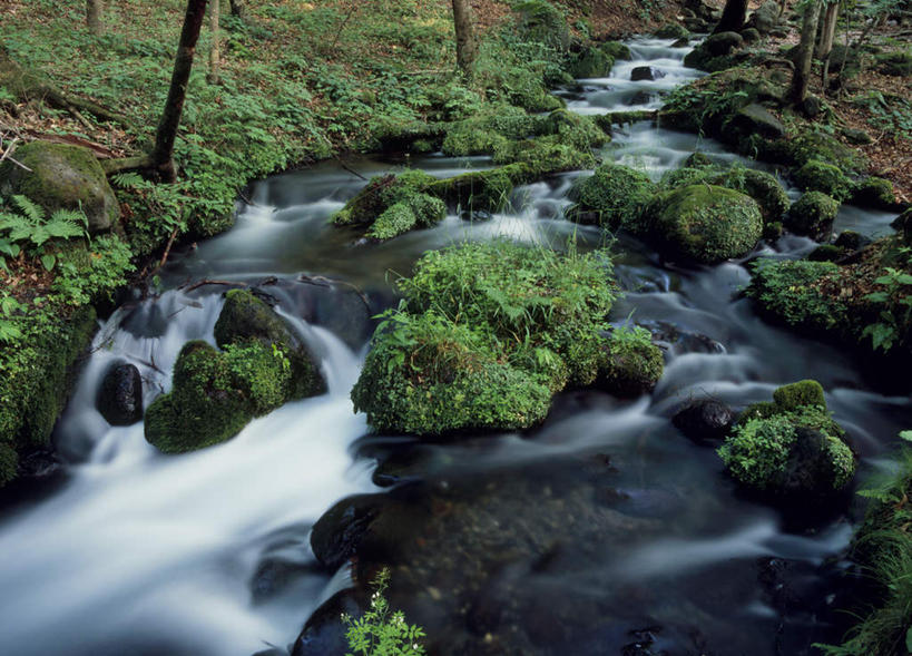 无人,横图,俯视,室外,白天,旅游,度假,草地,草坪,河流,石头,美景,水,植物,日本,亚洲,石子,河水,景观,水流,娱乐,草,树,树木,绿色,小溪,自然,溪水,享受,休闲,景色,放松,生长,成长,自然风光,东亚,本州,关东地方,本州岛,日本国,栃木,栃木县,石块,岩石,彩图,高角度拍摄