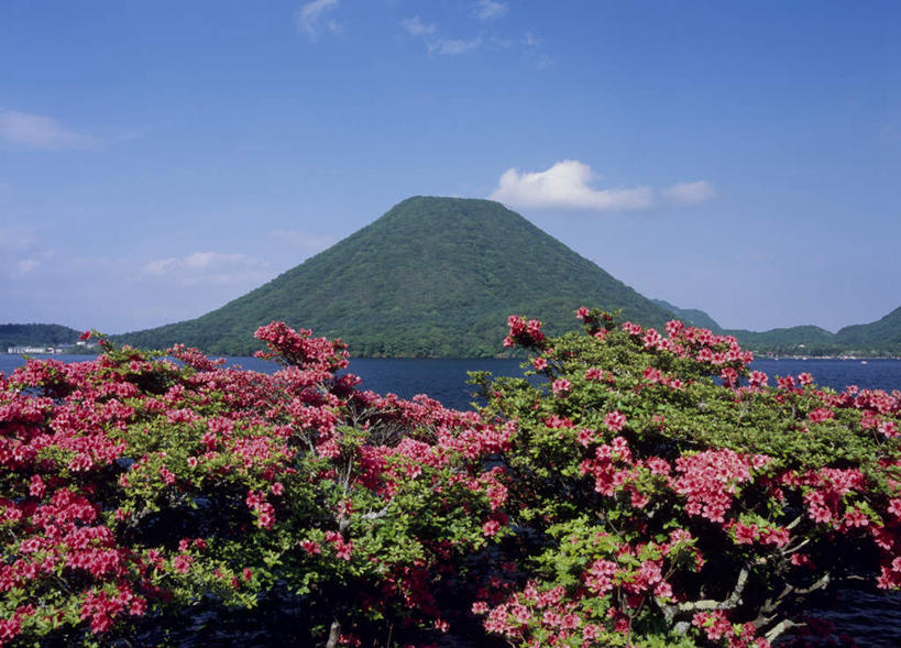 无人,横图,室外,白天,正面,旅游,度假,花海,花圃,美景,山,山脉,树林,植物,杜鹃花,叶子,日本,亚洲,许多,阴影,盛开,光线,影子,景观,山峰,云,云朵,杜鹃,山峦,花蕾,云彩,娱乐,花,花瓣,花朵,鲜花,树,树木,红色,蓝色,绿色,白云,蓝天,天空,阳光,自然,花丛,花束,花田,群山,天,花苞,花蕊,享受,休闲,景色,放松,生长,成长,自然风光,东亚,本州,关东地方,本州岛,日本国,群马,群马县,红杜鹃,满山红,清明花,清时,山踯躅,红踯躅,山石榴,映山红,彩图