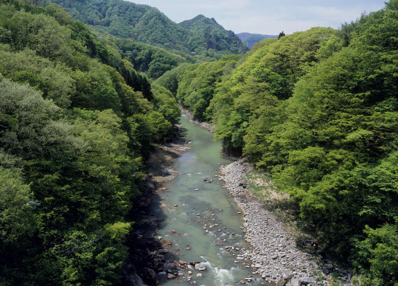 无人,横图,俯视,室外,白天,旅游,度假,河流,石头,美景,山,山脉,树林,水,植物,日本,亚洲,阴影,光线,石子,影子,河水,景观,山峰,水流,云,云朵,山峦,云彩,娱乐,树,树木,蓝色,绿色,白云,蓝天,天空,小溪,阳光,自然,群山,天,溪水,享受,休闲,景色,放松,生长,成长,自然风光,东亚,本州,关东地方,本州岛,日本国,群马,群马县,石块,彩图,高角度拍摄