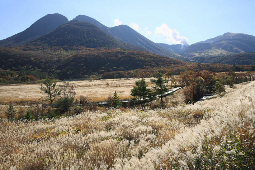 无人,横图,室外,白天,正面,旅游,度假,草地,草坪,美景,山,山脉,树林,植物,芦苇,大分县,日本,亚洲,阴影,枯萎,光线,影子,景观,山峰,云,云朵,枯草,山峦,云彩,娱乐,草,树,树木,蓝色,绿色,白云,蓝天,天空,阳光,自然,群山,天,享受,休闲,景色,放松,生长,成长,自然风光,东亚,日本国,九州本岛,九州,九州岛,九州地方,大分,彩图