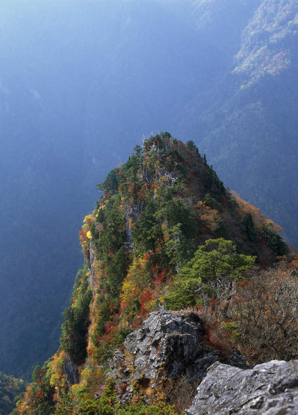 无人,竖图,俯视,室外,白天,旅游,度假,草地,草坪,美景,秋季,山,树林,植物,奈良县,日本,亚洲,许多,阴影,光线,影子,景观,山峰,云,云朵,山峦,云彩,娱乐,草,树,树木,黄色,红色,蓝色,绿色,白云,蓝天,天空,阳光,自然,天,享受,休闲,景色,放松,生长,成长,自然风光,东亚,本州,本州岛,日本国,近畿地方,奈良,近畿,秋,秋天,彩图,高角度拍摄