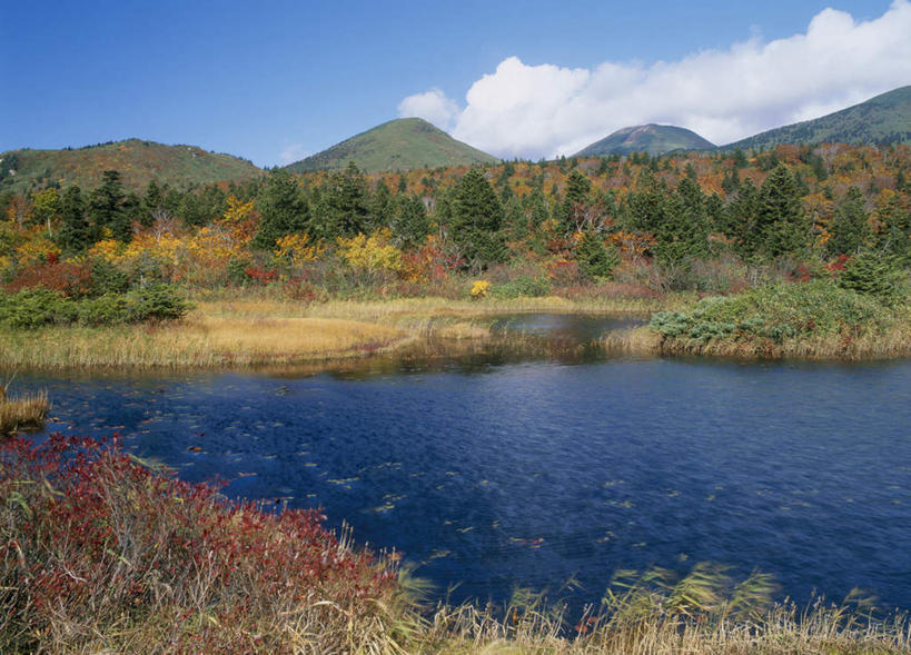 无人,横图,室外,白天,正面,旅游,度假,草地,草坪,湖,湖泊,美景,秋季,山,山脉,树林,水,植物,日本,亚洲,许多,阴影,枯萎,光线,影子,湖面,景观,山峰,水流,水面,云,云朵,枯草,山峦,云彩,娱乐,草,树,树木,黄色,红色,蓝色,绿色,白云,蓝天,天空,阳光,自然,湖水,群山,天,享受,休闲,景色,放松,生长,成长,自然风光,东亚,本州,关东地方,本州岛,日本国,栃木,栃木县,秋,秋天,彩图