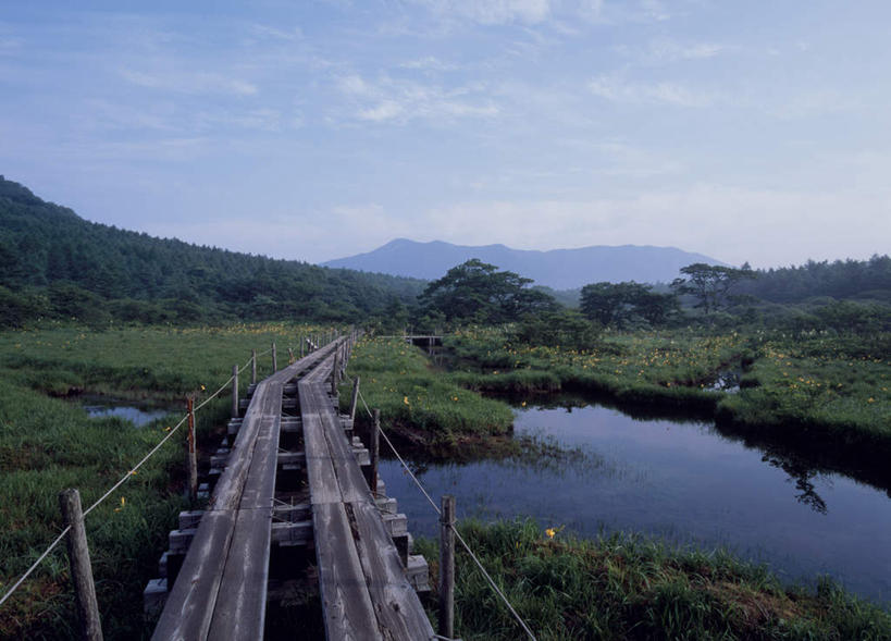 无人,栏杆,横图,室外,白天,正面,旅游,度假,草地,草坪,湖,湖泊,美景,山,山脉,树林,水,植物,日本,亚洲,阴影,光线,木板,影子,湖面,景观,山峰,水流,水面,云,云朵,围栏,桥,木桥,山峦,云彩,娱乐,护栏,栈桥,草,树,树木,蓝色,绿色,白云,蓝天,天空,阳光,自然,湖水,群山,天,享受,休闲,景色,放松,生长,成长,人行桥,木板桥,自然风光,东亚,本州,关东地方,本州岛,日本国,栃木,栃木县,彩图