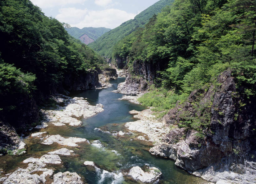 无人,横图,俯视,室外,白天,旅游,度假,河流,石头,美景,山,山脉,树林,水,植物,日本,亚洲,阴影,光线,石子,影子,河水,景观,山峰,水流,云,云朵,山峦,云彩,娱乐,树,树木,蓝色,绿色,白云,蓝天,天空,小溪,阳光,自然,群山,天,溪水,享受,休闲,景色,放松,生长,成长,自然风光,东亚,本州,关东地方,本州岛,日本国,栃木,栃木县,石块,岩石,彩图,高角度拍摄
