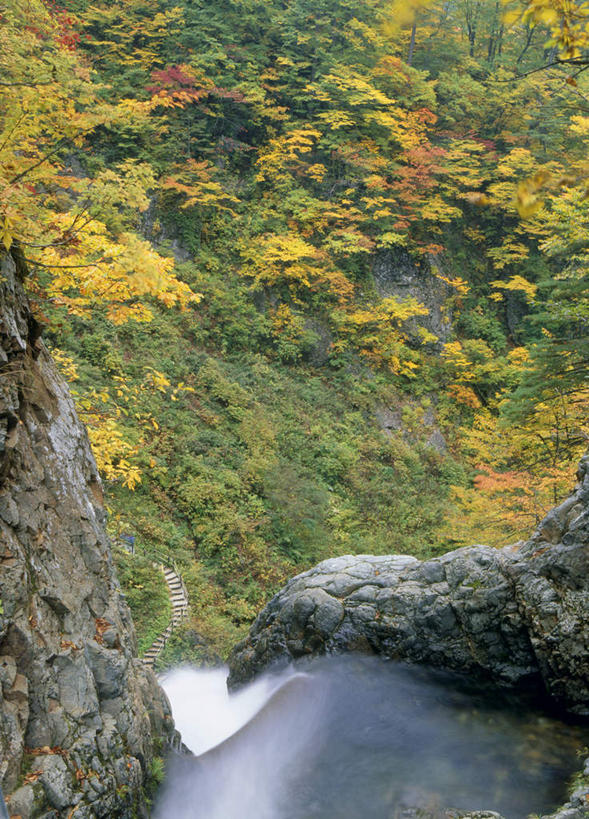 无人,竖图,俯视,室外,白天,旅游,度假,河流,石头,美景,山,树林,水,植物,日本,亚洲,许多,石子,河水,景观,山峰,水流,山峦,娱乐,树,树木,黄色,绿色,自然,享受,休闲,景色,放松,生长,成长,自然风光,东亚,本州,本州岛,日本国,青森,青森县,东北地方,石块,岩石,彩图,高角度拍摄