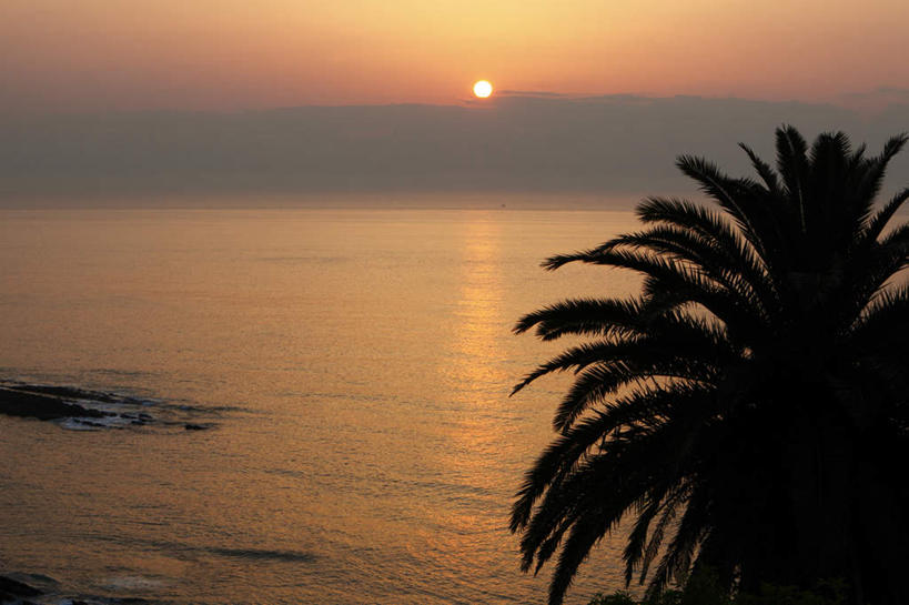 无人,横图,俯视,室外,白天,旅游,度假,日出,海浪,海洋,美景,山,山脉,太阳,植物,棕榈树,叶子,日本,亚洲,景观,浪花,山峰,绿叶,朝霞,晨曦,黎明,山峦,娱乐,树,树木,绿色,阳光,自然,海水,群山,享受,休闲,嫩叶,景色,放松,生长,成长,自然风光,海景,东亚,棕榈叶,日本国,九州本岛,九州,九州岛,九州地方,宫崎,宫崎县,叶,叶片,大海,风浪,海,海水的波动,近岸浪,涌浪,朝阳,彩图,高角度拍摄,破晓