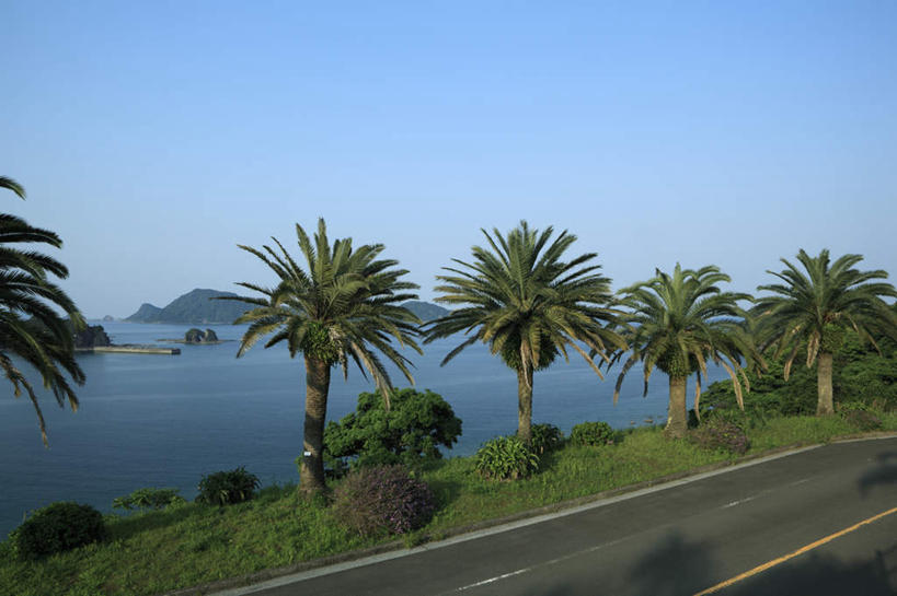 无人,横图,室外,白天,正面,旅游,度假,草地,草坪,湖,湖泊,美景,山,水,植物,道路,路,公路,棕榈树,叶子,日本,亚洲,阴影,光线,影子,湖面,景观,山峰,水流,水面,绿叶,交通,山峦,娱乐,草,树,树木,蓝色,绿色,蓝天,天空,阳光,自然,湖水,天,享受,休闲,嫩叶,景色,放松,生长,成长,自然风光,东亚,棕榈叶,日本国,九州本岛,九州,九州岛,九州地方,宫崎,宫崎县,叶,叶片,马路,彩图