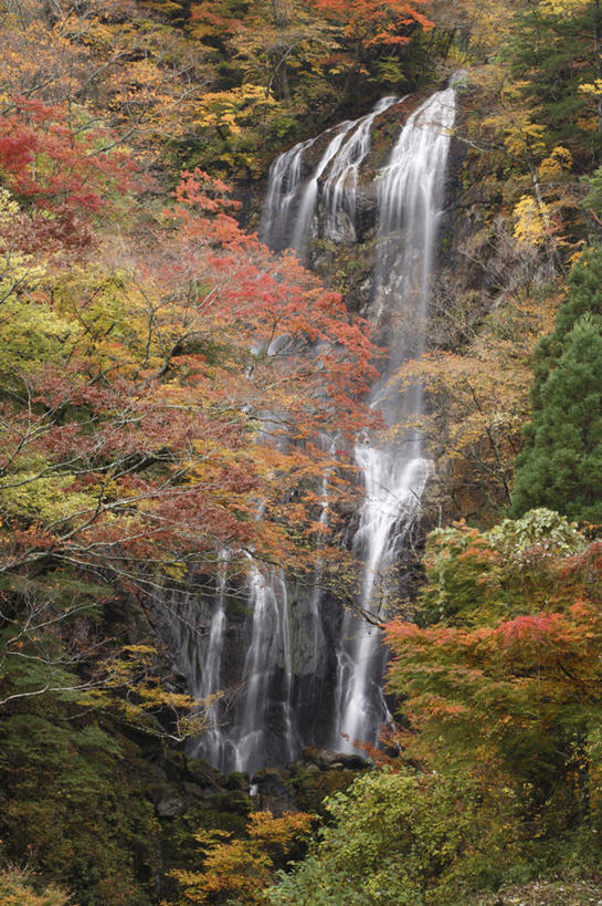 无人,竖图,俯视,室外,白天,旅游,度假,美景,瀑布,秋季,树林,水,植物,日本,亚洲,阴影,飞溅,溅,光线,液体,影子,景观,娱乐,树,树木,黄色,红色,绿色,阳光,自然,享受,休闲,景色,放松,生长,成长,喷洒,自然风光,东亚,日本国,九州本岛,九州,九州岛,九州地方,宫崎,宫崎县,跌水,秋,秋天,彩图,高角度拍摄