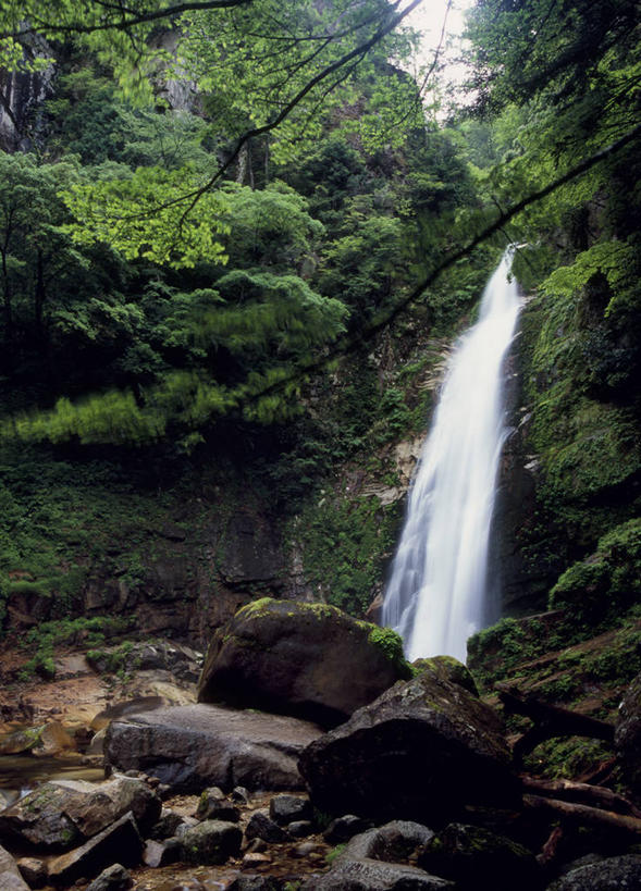 无人,竖图,室外,白天,仰视,旅游,度假,石头,美景,瀑布,森林,山,山脉,树林,水,植物,奈良县,日本,亚洲,飞溅,溅,石子,液体,景观,山峰,水滴,山峦,娱乐,水珠,树,树木,绿色,自然,群山,享受,休闲,景色,放松,生长,成长,喷洒,自然风光,东亚,沉积岩,本州,本州岛,日本国,近畿地方,奈良,近畿,水成岩,跌水,石块,岩石,彩图,低角度拍摄,吉野郡,十津川村