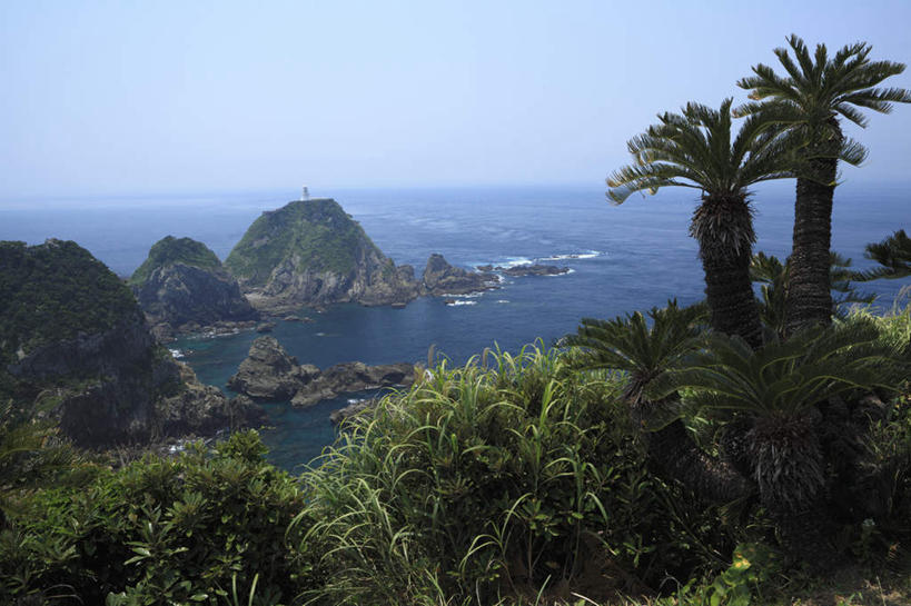 无人,横图,俯视,航拍,室外,白天,旅游,度假,海浪,海洋,礁石,石头,美景,树林,植物,棕榈树,鹿儿岛,日本,亚洲,阴影,光线,石子,影子,景观,浪花,娱乐,树,树木,蓝色,绿色,蓝天,天空,阳光,自然,海水,天,享受,休闲,景色,放松,生长,成长,鸟瞰,自然风光,海景,东亚,棕榈叶,日本国,九州本岛,九州,九州岛,九州地方,鹿儿岛县,大海,风浪,海,海水的波动,礁,近岸浪,石块,岩石,涌浪,彩图,高角度拍摄