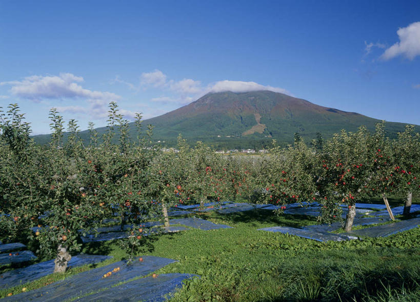 无人,横图,室外,白天,正面,旅游,度假,草地,草坪,美景,山,树林,植物,日本,亚洲,阴影,光线,影子,景观,山峰,云,云朵,山峦,云彩,娱乐,草,树,树木,蓝色,绿色,白云,蓝天,天空,阳光,自然,天,享受,休闲,景色,放松,生长,成长,自然风光,东亚,本州,本州岛,日本国,青森,青森县,东北地方,彩图