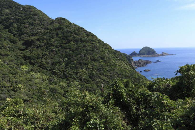 无人,横图,室外,白天,正面,旅游,度假,海浪,海洋,美景,山,山脉,树林,植物,鹿儿岛,日本,亚洲,阴影,光线,影子,景观,浪花,山峰,云,云朵,山峦,云彩,娱乐,树,树木,蓝色,绿色,白云,蓝天,天空,阳光,自然,海水,群山,天,享受,休闲,景色,放松,生长,成长,自然风光,海景,东亚,日本国,九州本岛,九州,九州岛,九州地方,鹿儿岛县,大海,风浪,海,海水的波动,近岸浪,涌浪,彩图