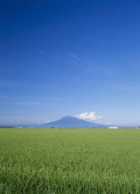 无人,农田,竖图,俯视,室外,白天,旅游,度假,庄稼,农作物,美景,山,日本,亚洲,许多,阴影,光线,影子,景观,山峰,云,云朵,水稻,山峦,云彩,娱乐,蓝色,绿色,白云,蓝天,天空,阳光,自然,天,享受,休闲,稻谷,景色,放松,自然风光,东亚,本州,本州岛,日本国,青森,青森县,东北地方,彩图,高角度拍摄,耕地,庄稼田