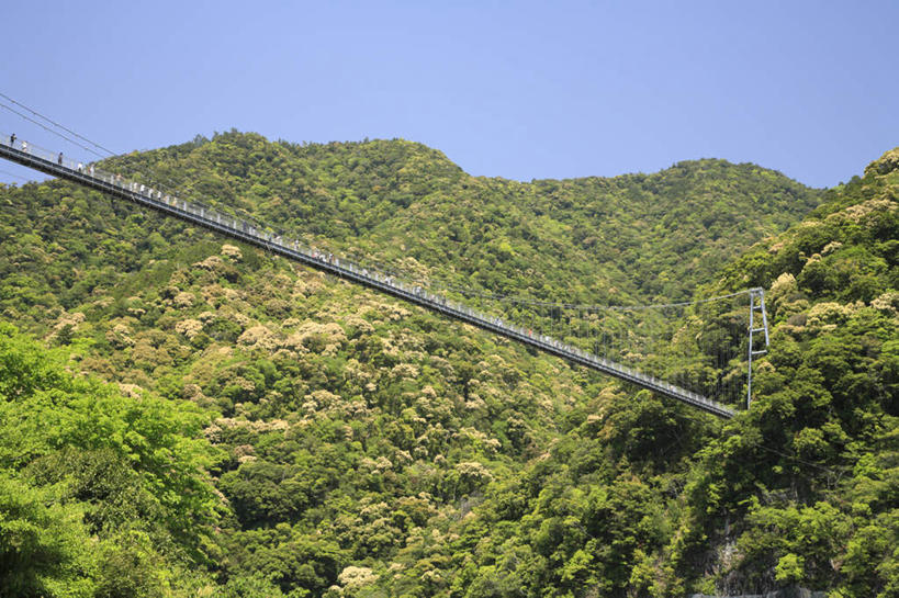 无人,栏杆,横图,室外,白天,仰视,旅游,度假,美景,山,山脉,树林,植物,日本,亚洲,许多,木板,景观,山峰,悬崖,围栏,桥,木桥,山峦,娱乐,护栏,栈桥,树,树木,蓝色,绿色,蓝天,天空,自然,群山,天,享受,休闲,景色,放松,吊桥,生长,成长,人行桥,木板桥,自然风光,东亚,日本国,九州本岛,九州,九州岛,九州地方,宫崎,宫崎县,彩图,低角度拍摄