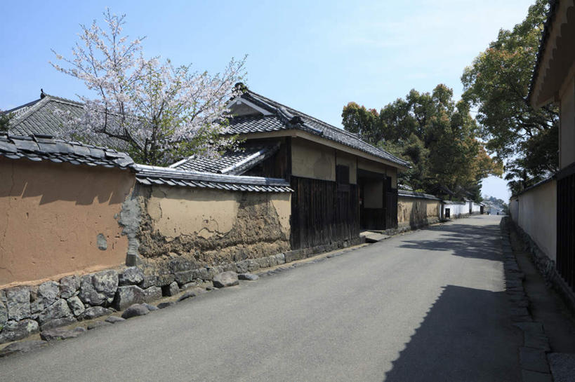 无人,家,横图,室外,白天,正面,旅游,度假,美景,植物,道路,路,公路,大分县,日本,亚洲,阴影,光线,瓦片,影子,房屋,屋檐,屋子,景观,围墙,交通,娱乐,楼房,檐,住宅,树,树木,蓝色,绿色,蓝天,天空,阳光,自然,天,享受,休闲,景色,放松,生长,成长,自然风光,东亚,日本国,九州本岛,九州,九州岛,九州地方,马路,彩图,房子