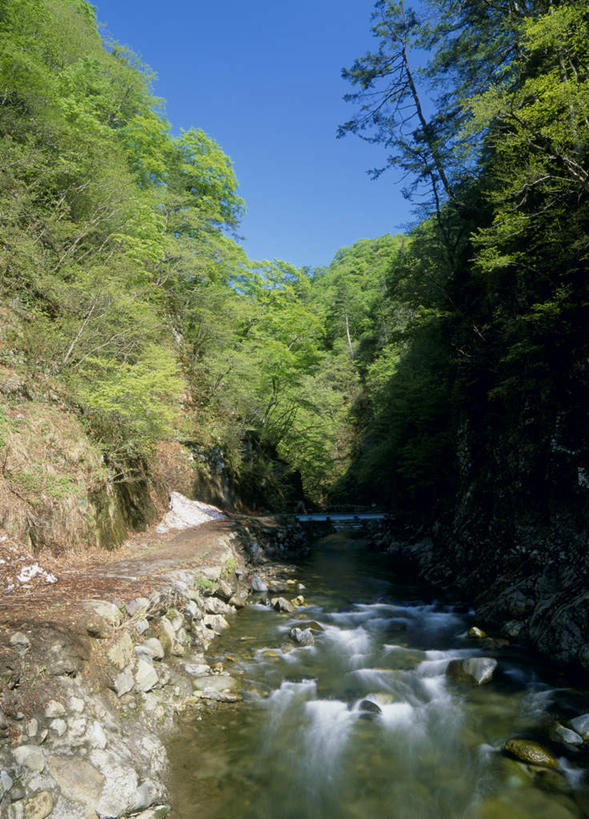无人,竖图,室外,白天,正面,旅游,度假,河流,美景,山,树林,水,植物,日本,亚洲,阴影,光线,影子,河水,景观,山峰,水流,山峦,娱乐,树,树木,蓝色,绿色,蓝天,天空,阳光,自然,天,享受,休闲,景色,放松,生长,成长,自然风光,东亚,本州,本州岛,日本国,青森,青森县,东北地方,彩图