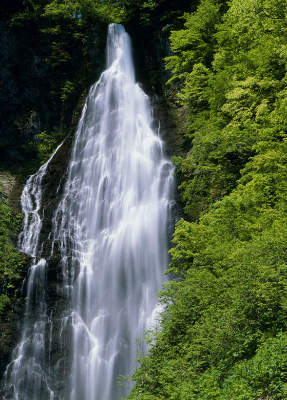 无人,竖图,室外,白天,正面,旅游,度假,石头,美景,瀑布,树林,水,植物,日本,亚洲,飞溅,溅,石子,液体,景观,娱乐,树,树木,绿色,自然,享受,休闲,景色,放松,生长,成长,喷洒,自然风光,东亚,本州,本州岛,日本国,青森,青森县,东北地方,跌水,石块,岩石,彩图