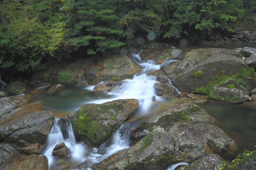 无人,横图,俯视,室外,白天,旅游,度假,河流,石头,美景,树林,水,峡谷,植物,鹿儿岛,日本,亚洲,许多,石子,河水,景观,水流,苔藓,娱乐,树,树木,绿色,自然,享受,休闲,景色,放松,生长,成长,自然风光,东亚,日本国,九州本岛,九州,九州岛,九州地方,鹿儿岛县,石块,岩石,彩图,高角度拍摄
