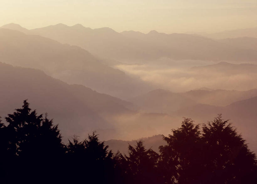 无人,横图,俯视,航拍,室外,白天,旅游,度假,美景,山,山脉,树林,植物,雾,奈良县,日本,亚洲,阴影,朦胧,模糊,光线,影子,景观,山峰,山峦,娱乐,树,树木,绿色,天空,阳光,自然,群山,天,享受,休闲,景色,放松,生长,成长,迷雾,鸟瞰,自然风光,东亚,本州,本州岛,日本国,近畿地方,奈良,近畿,大雾,彩图,高角度拍摄