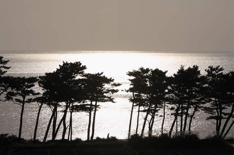 无人,横图,室外,白天,正面,旅游,度假,湖,湖泊,美景,日落,水,植物,鹿儿岛,日本,亚洲,许多,湖面,景观,水流,水面,水平线,晚霞,霞光,辽阔,背光,娱乐,树,树木,绿色,自然,黄昏,湖水,享受,休闲,广阔,景色,彩霞,放松,生长,成长,一望无际,自然风光,逆光,东亚,日本国,九州本岛,九州,九州岛,九州地方,鹿儿岛县,无边无际,一马平川,夕阳,彩图,水天相接,水天一线