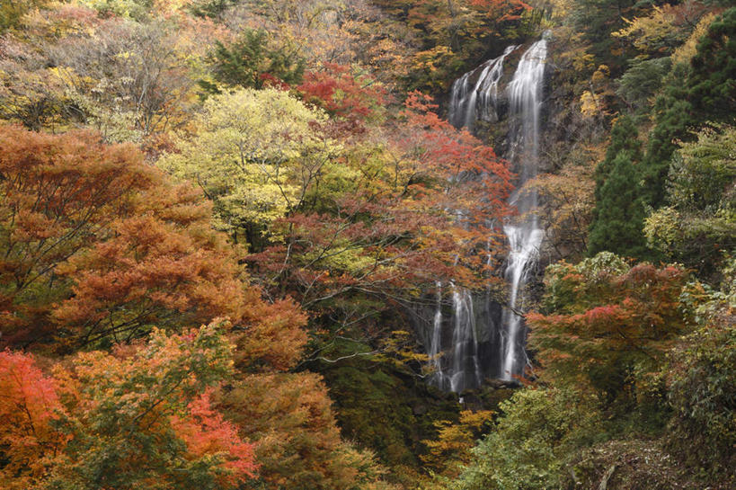 无人,横图,俯视,室外,白天,旅游,度假,美景,瀑布,树林,水,植物,叶子,日本,亚洲,许多,飞溅,溅,液体,景观,悬崖,绿叶,娱乐,树,树木,黄色,红色,绿色,自然,享受,休闲,景色,放松,峭壁,生长,成长,喷洒,自然风光,东亚,日本国,九州本岛,九州,九州岛,九州地方,宫崎,宫崎县,叶,叶片,跌水,彩图,高角度拍摄