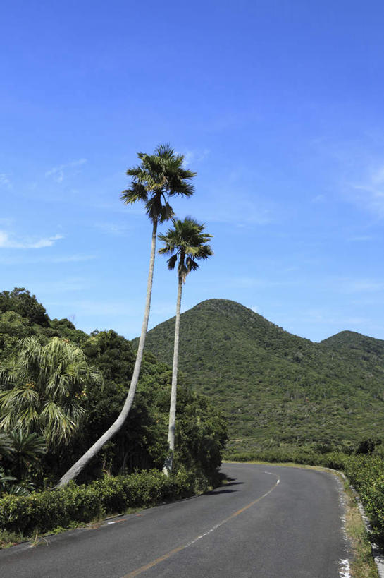 无人,竖图,室外,白天,正面,旅游,度假,美景,山,山脉,树林,植物,道路,路,公路,鹿儿岛,日本,亚洲,景观,山峰,云,云朵,交通,山峦,云彩,娱乐,树,树木,蓝色,绿色,白云,蓝天,天空,自然,群山,天,享受,休闲,景色,放松,生长,成长,自然风光,东亚,日本国,九州本岛,九州,九州岛,九州地方,鹿儿岛县,马路,彩图