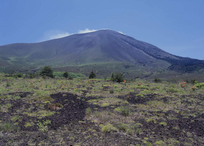 无人,横图,室外,白天,正面,旅游,度假,草地,草坪,美景,山,树林,植物,日本,亚洲,枯萎,景观,山峰,云,云朵,枯草,山峦,云彩,娱乐,草,树,树木,黄色,蓝色,绿色,白云,蓝天,天空,自然,天,享受,休闲,景色,放松,生长,成长,自然风光,东亚,本州,关东地方,本州岛,日本国,群马,群马县,彩图