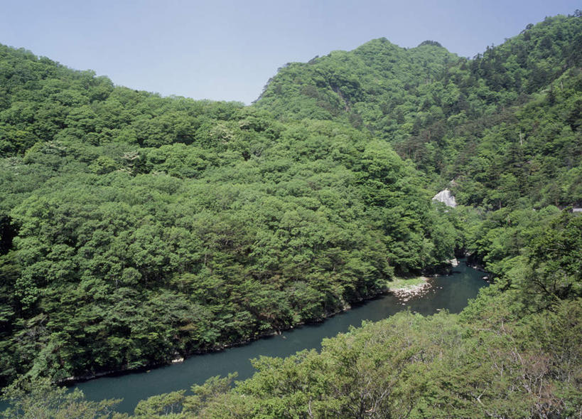 无人,横图,俯视,室外,白天,旅游,度假,河流,美景,山,树林,水,植物,日本,亚洲,阴影,光线,影子,河水,景观,山峰,水流,山峦,娱乐,树,树木,蓝色,绿色,蓝天,天空,阳光,自然,天,享受,休闲,景色,放松,生长,成长,自然风光,东亚,本州,关东地方,本州岛,日本国,栃木,栃木县,彩图,高角度拍摄