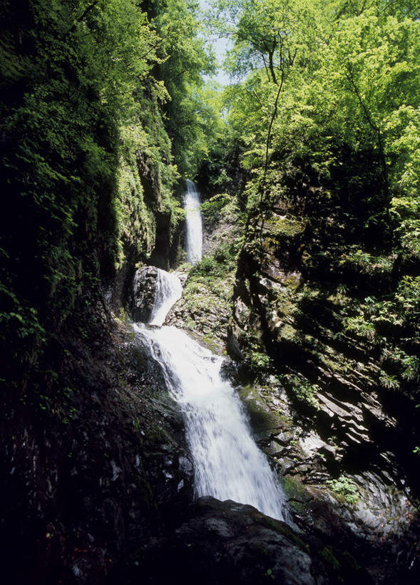 无人,竖图,室外,白天,正面,旅游,度假,石头,美景,瀑布,树林,水,植物,日本,亚洲,阴影,飞溅,溅,光线,石子,液体,影子,景观,娱乐,树,树木,蓝色,绿色,蓝天,天空,阳光,自然,天,享受,休闲,景色,放松,生长,成长,喷洒,自然风光,东亚,本州,关东地方,本州岛,日本国,栃木,栃木县,跌水,石块,岩石,彩图