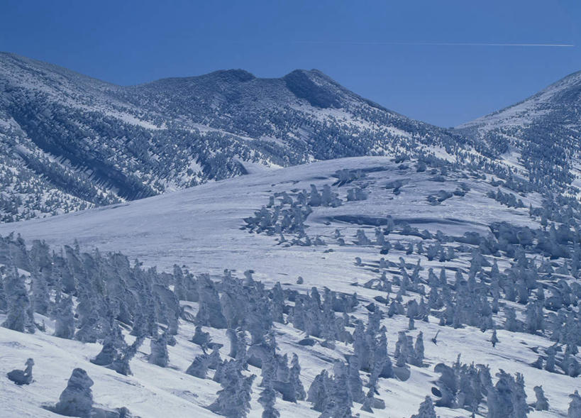 无人,横图,俯视,航拍,室外,白天,旅游,度假,美景,山,山脉,树林,雪,植物,大雪,日本,亚洲,许多,阴影,光线,影子,积雪,景观,山峰,雪景,冬天,山峦,娱乐,树,树木,蓝色,绿色,蓝天,天空,阳光,自然,群山,天,享受,休闲,景色,放松,生长,成长,鸟瞰,自然风光,雾凇,东亚,本州,本州岛,日本国,青森,青森县,东北地方,彩图,高角度拍摄