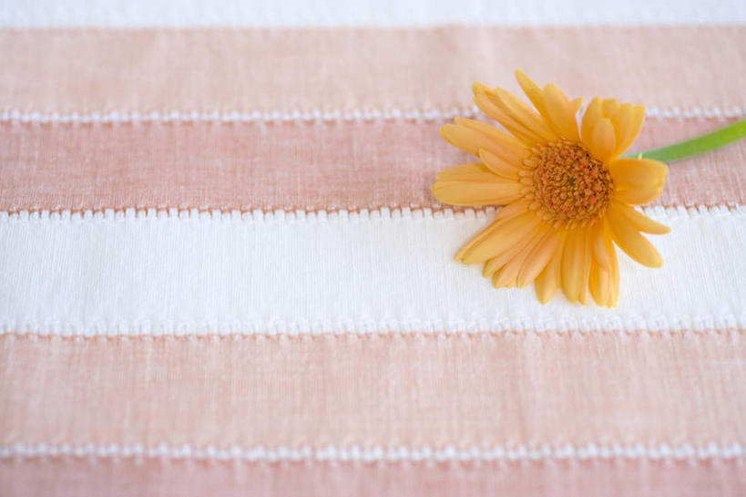 无人,横图,俯视,室内,特写,白天,静物,条纹,盛开,非洲菊,花蕾,桌布,花,花瓣,花朵,鲜花,一朵,粉色,黄色,白色,花苞,花蕊,菊花,扶郎花,灯盏花,千日菊,彩图,高角度拍摄