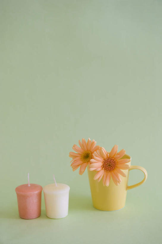 无人,竖图,室内,特写,白天,正面,桌面,桌子,静物,杯子,蜡烛,绿色背景,盛开,非洲菊,花蕾,花,花瓣,花朵,鲜花,两朵,两个,粉色,红色,白色,塑料制品,花苞,花蕊,橙色,菊花,摄影,影棚,扶郎花,灯盏花,千日菊,茶杯,彩图,影棚拍摄,拍摄