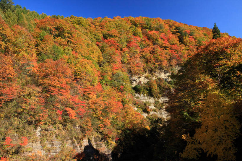 无人,横图,室外,白天,正面,旅游,度假,石头,美景,森林,山,山脉,树林,植物,秋田县,日本,亚洲,阴影,光线,石子,影子,景观,山顶,山峰,山峦,娱乐,树,树木,蓝色,绿色,蓝天,天空,阳光,自然,群山,天,享受,休闲,景色,放松,生长,晴朗,成长,自然风光,东亚,沉积岩,本州,万里无云,本州岛,日本国,秋田,东北地方,汤泽,汤泽市,颠峰,极峰,水成岩,石块,岩石,晴空,晴空万里,彩图