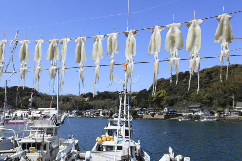无人,横图,室外,白天,正面,旅游,度假,海浪,海洋,山,树林,植物,轮船,船,鱿鱼,日本,亚洲,晾晒,悬挂,浪花,山峰,鱼干,山峦,晒干,娱乐,海洋生物,树,树木,蓝色,绿色,蓝天,天空,自然,海水,天,享受,休闲,放松,生长,成长,停泊,水生动物,水生物,海景,东亚,海底动物,日本国,九州本岛,九州,九州岛,九州地方,大海,风浪,海,海水的波动,近岸浪,涌浪,柔鱼,枪乌贼,彩图