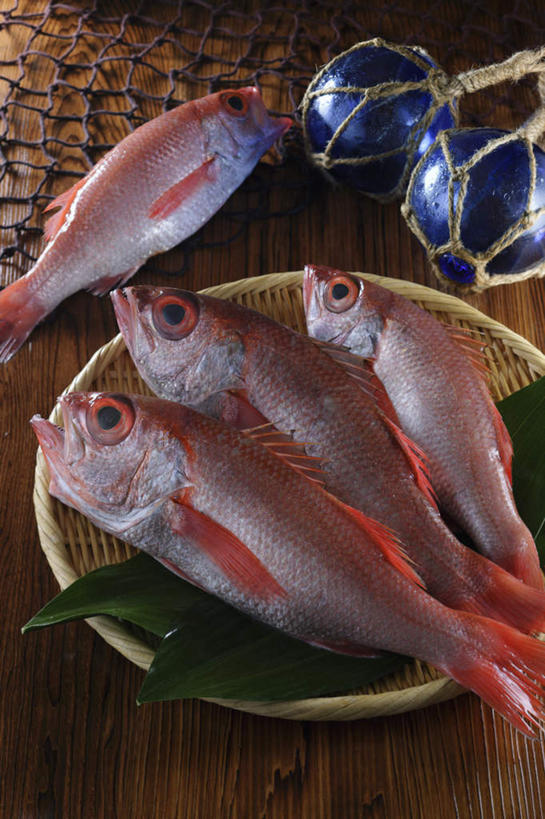 海鲜,无人,餐厅,竖图,俯视,室内,特写,白天,烹饪,餐桌,桌子,叶子,日本料理,料理,食品,绿叶,鲷鱼,竹扁,水产,菜肴,美食,食物,红色,日式料理,四条,日式,嫩叶,浮标,佳肴,渔网,竹编,餐台,渔具,鲷,海鲷,加吉鱼,铜盆鱼,抓捕,海产品,捕捞,鱼网,拉网,捕捞工具,箬叶,芦苇叶,班加吉,加真鲷,叶,叶片,彩图,高角度拍摄,餐馆,饭店,饭馆