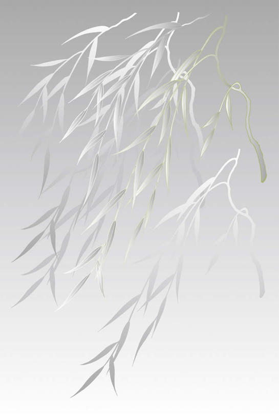 无人,竖图,插画,室内,白天,正面,数码,科技,植物,柳树,叶子,许多,阴影,灰色背景,网络,绿叶,枝条,高光,几何,计算机图形,合成,图画,画,绿色,嫩叶,电脑合成图,数码合成图,柳条,飘动,漫画,写实,具体,具象,叶,叶片,彩图