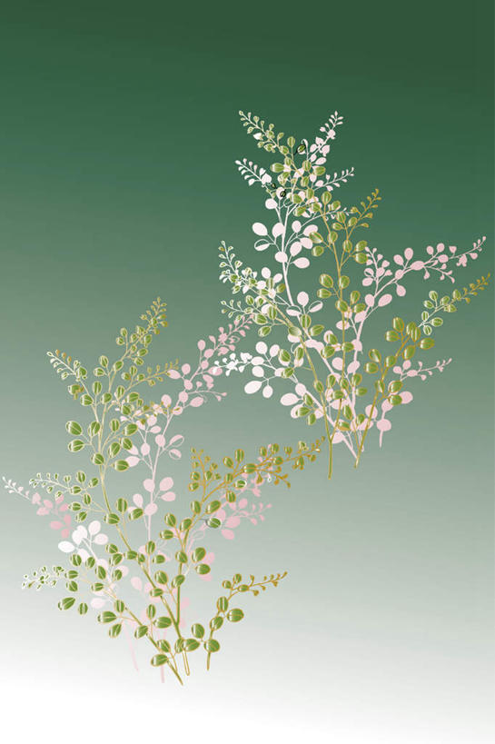 无人,竖图,插画,室内,白天,正面,数码,科技,植物,叶子,许多,绿色背景,阴影,盛开,网络,粉红,高光,几何,计算机图形,合成,花蕾,图画,画,花,花瓣,花朵,鲜花,粉色,绿色,花苞,花蕊,电脑合成图,数码合成图,漫画,写实,具体,具象,彩图