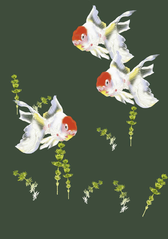 无人,竖图,插画,室内,白天,正面,数码,科技,植物,绿色背景,阴影,网络,金鱼,鱼,水草,高光,几何,计算机图形,合成,图画,鱼类,画,红色,绿色,白色,三条,游动,电脑合成图,数码合成图,漫画,写实,具体,具象,观赏鱼,金鲫鱼,彩图