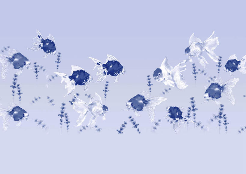 游泳,无人,横图,插画,室内,白天,正面,数码,科技,野生动物,一群,许多,阴影,紫色背景,网络,金鱼,鱼,水草,高光,几何,计算机图形,合成,图画,画,蓝色,动物,可爱,活泼,游动,电脑合成图,数码合成图,漫画,写实,具体,具象,观赏鱼,金鲫鱼,彩图