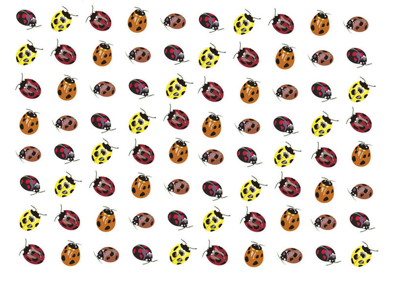 无人,横图,彩色,插画,室内,白天,白色背景,正面,数码,科技,野生动物,瓢虫,一排,许多,阴影,整齐,网络,斑点,甲壳虫,高光,几何,计算机图形,合成,图画,画,排列,爬行,动物,爬,可爱,活泼,电脑合成图,数码合成图,队列,漫画,写实,具体,具象,七星瓢虫,彩图