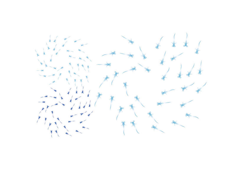 游泳,无人,横图,插画,室内,白天,白色背景,正面,数码,科技,野生动物,一群,许多,阴影,网络,鱼,螺旋,高光,几何,计算机图形,合成,图画,鱼类,画,蓝色,紫色,动物,可爱,活泼,电脑合成图,数码合成图,漫画,写实,具体,具象,鳉鱼,鳉,彩图